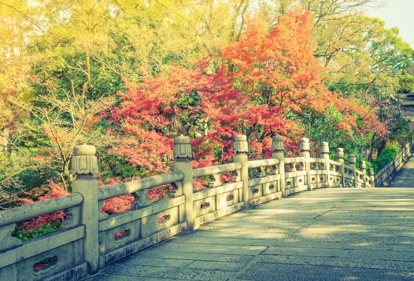 Krásná architektura v Kiyomizu-dera Temple — Stock fotografie