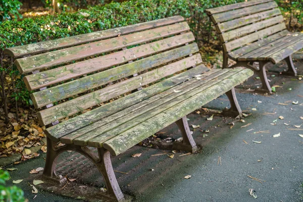 Wooden bench in the park — Stock Photo, Image