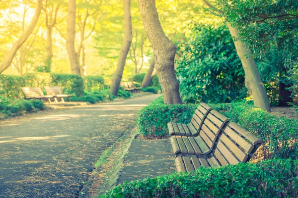 Wooden bench in the park — Stock Photo, Image