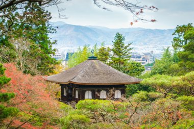 Ginkakuji Tapınağı Kyoto