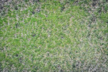 duvar dokusu arka plan