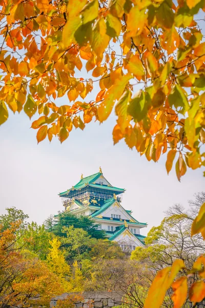 Hermoso castillo de Osaka — Foto de Stock