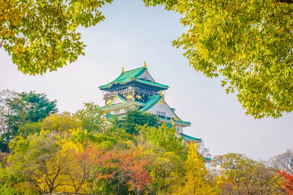 Güzel Osaka Kalesi — Stok fotoğraf