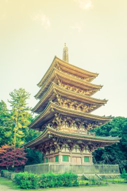 Recai-ji Tapınağı Güz, Kyoto