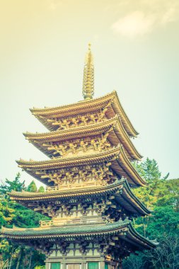 Recai-ji Tapınağı Güz, Kyoto