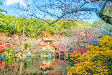 Recai-ji Tapınağı Güz, Kyoto