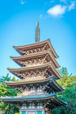 Recai-ji Tapınağı Güz, Kyoto