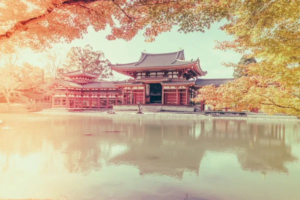 美丽院在京都 — 图库照片