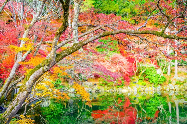 Осенний лес с рекой — стоковое фото