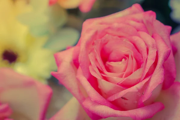 Красиві квіти для валентинки — стокове фото