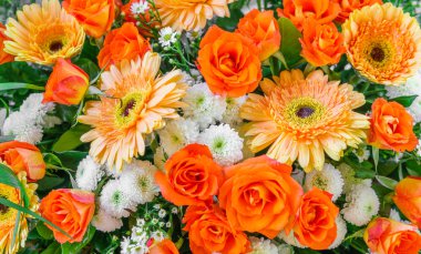 Sevgililer için güzel çiçekler