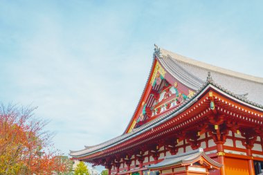 Asakusa Sensoji-ji Tapınağı