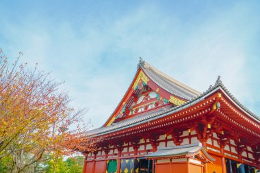 Asakusa Sensoji-ji Tapınağı