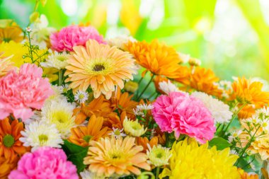 Sevgililer için güzel çiçekler