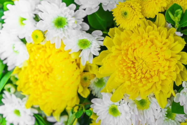 Hermosas flores para San Valentín —  Fotos de Stock