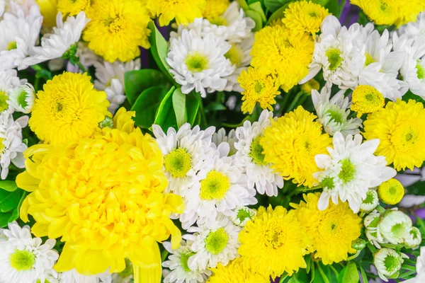 Gyönyörű virágok Valentin — Stock Fotó