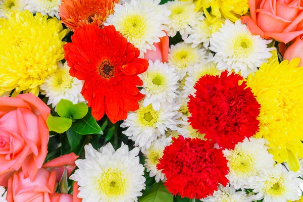 Mooie bloemen voor Valentijnsdag — Stockfoto