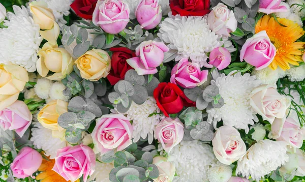 Bellissimi fiori per San Valentino — Foto Stock