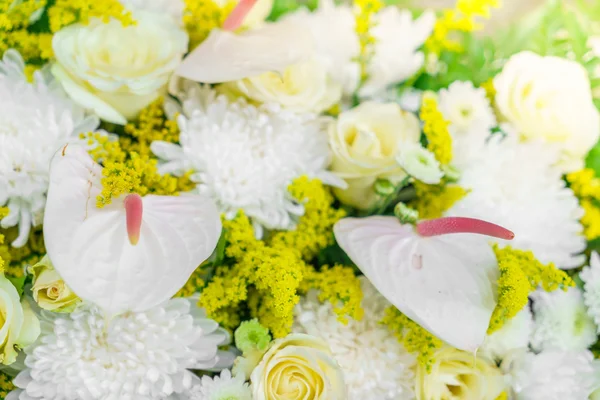 Schöne Blumen zum Valentinstag — Stockfoto