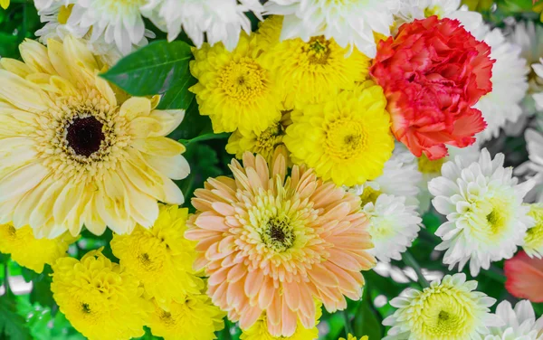 Sevgililer için güzel çiçekler — Stok fotoğraf