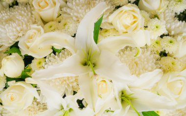 Sevgililer için güzel çiçekler