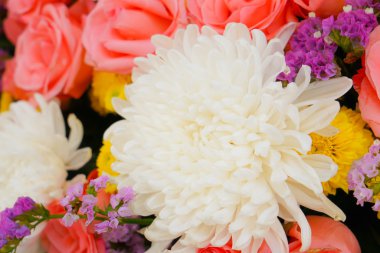 Sevgililer için güzel çiçekler