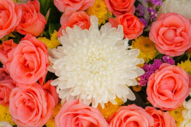 Sevgililer için güzel çiçekler