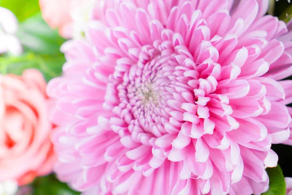 Schöne Blumen zum Valentinstag — Stockfoto