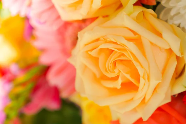 Mooie bloemen voor Valentijnsdag — Stockfoto