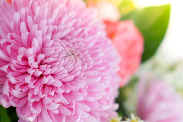 Beautiful flowers  for valentines — Stock Photo, Image