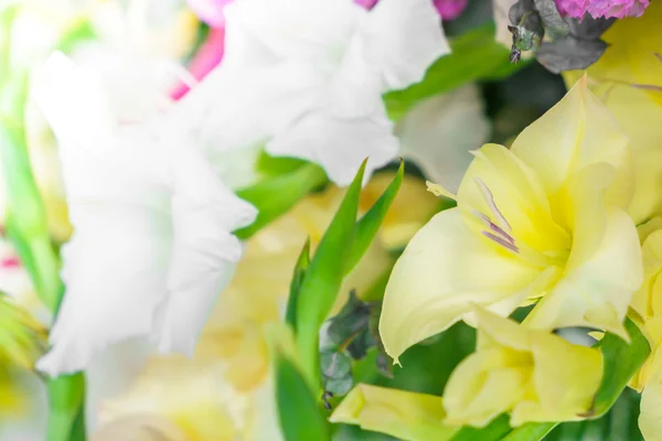 Lindas flores para namorados — Fotografia de Stock