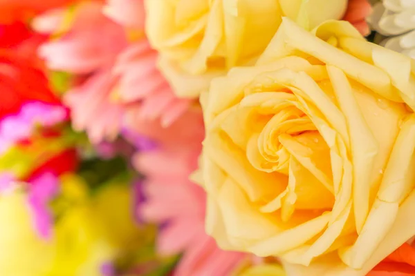 Mooie bloemen voor Valentijnsdag — Stockfoto