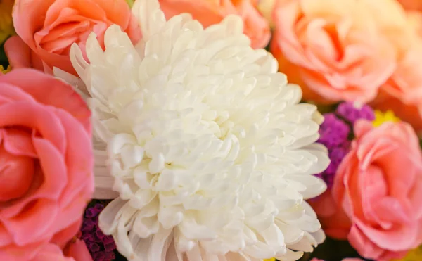 Beautiful flowers  for valentines — Stock Photo, Image