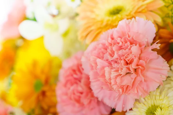 Vackra blommor för valentines — Stockfoto