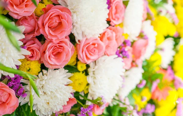 Schöne Blumen zum Valentinstag — Stockfoto