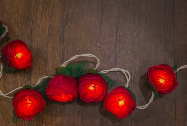 Işıklı kırmızı gül