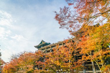 Kiyomizu-dera Tapınağı mimarisinde