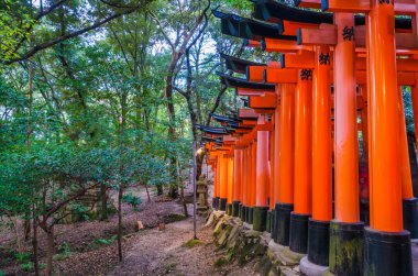 Kırmızı Tori kapıda Fushimi Inari tapınak tapınak Kyoto, Japonya