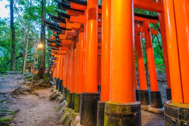 Kırmızı Tori kapıda Fushimi Inari tapınak tapınak Kyoto, Japonya