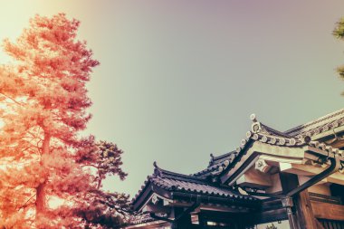 Tokyo'daki İmparatorluk Sarayı