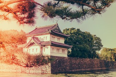 Tokyo'daki İmparatorluk Sarayı