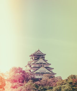 Kale Osaka City