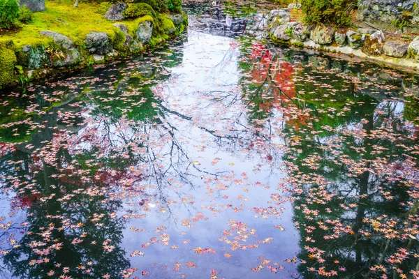 Bosque de otoño con río —  Fotos de Stock