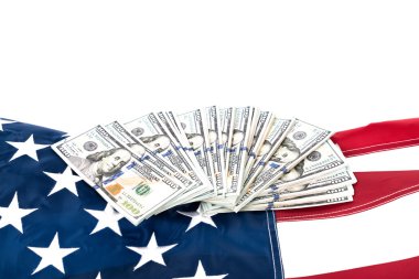 dolar Lirası bayrak üstünde