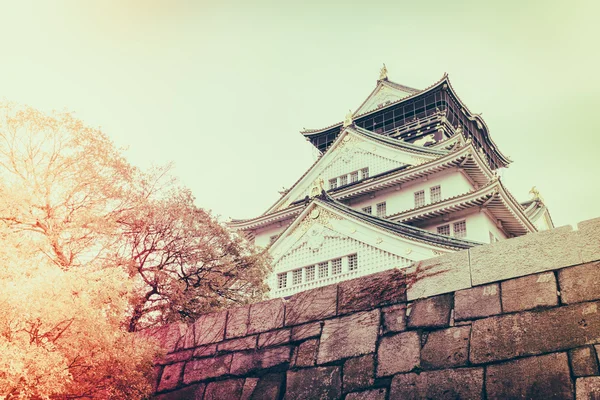 Castle in Osaka city — Stock Photo, Image