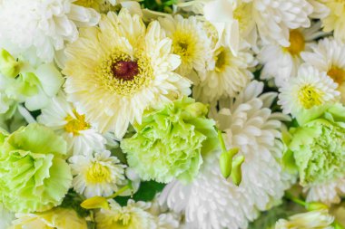 güzel renkli çiçekler