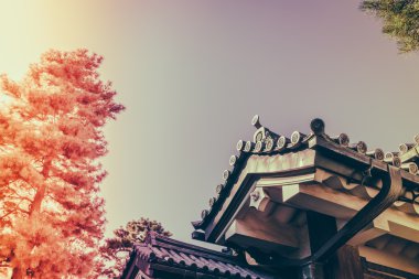 Tokyo'daki İmparatorluk Sarayı