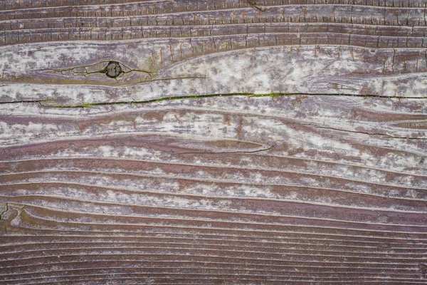 Hout textuur achtergrond — Stockfoto