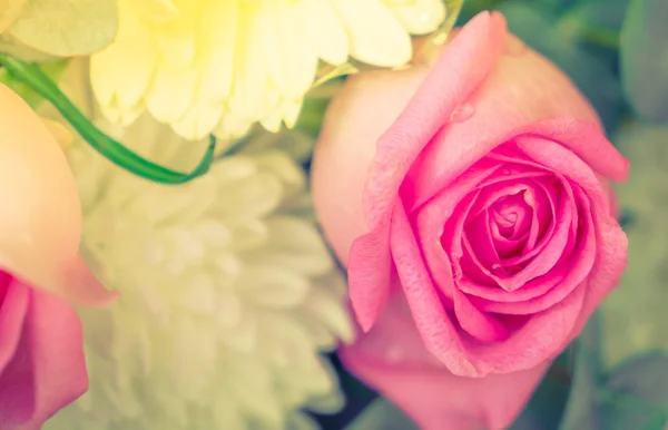 Beautiful colorful flowers — Stock Photo, Image