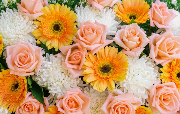 Красиві барвисті квіти — стокове фото